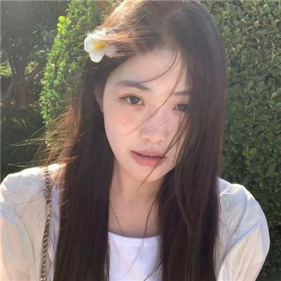 休战协定