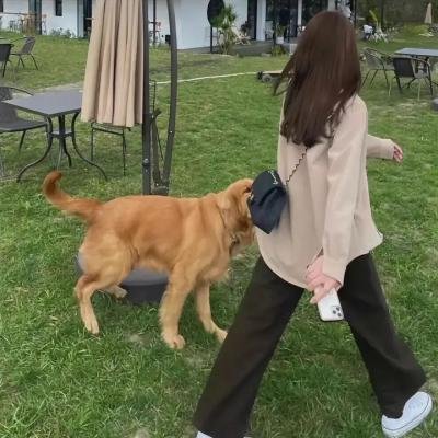 和红色中国人看电视